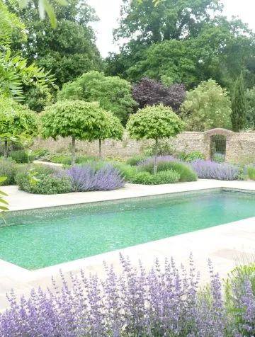 Poolcraft Ltd - Inground outside pool with soft landscaping